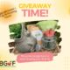 Enter our June giveaway!